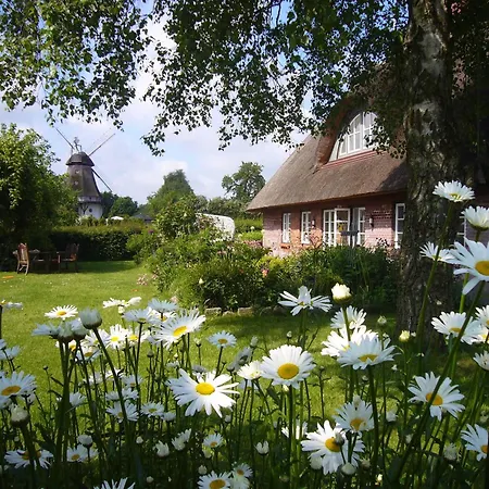 In Der Kuenstlerkate بيت للعطل Hasselberg (Schleswig-Holstein)